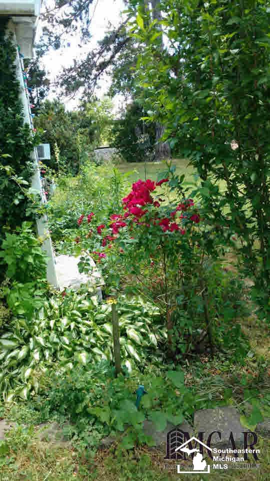 1020 Lasalle Road Monroe, MI 48162 - Photo 3 of 5