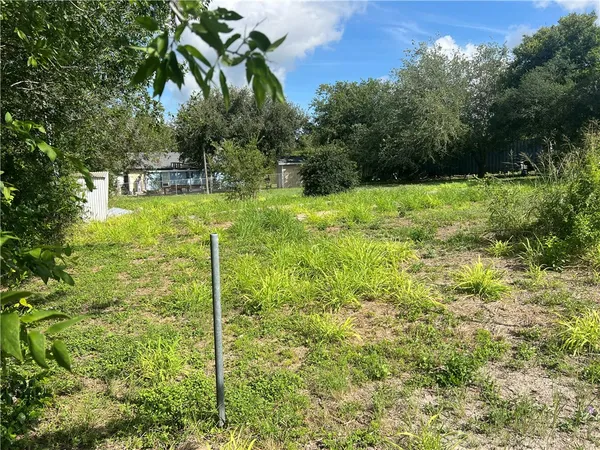 a view of a backyard with plants