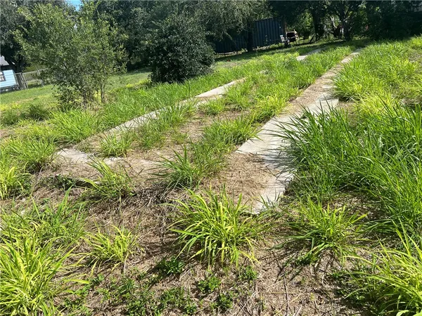 a view of a backyard with plants