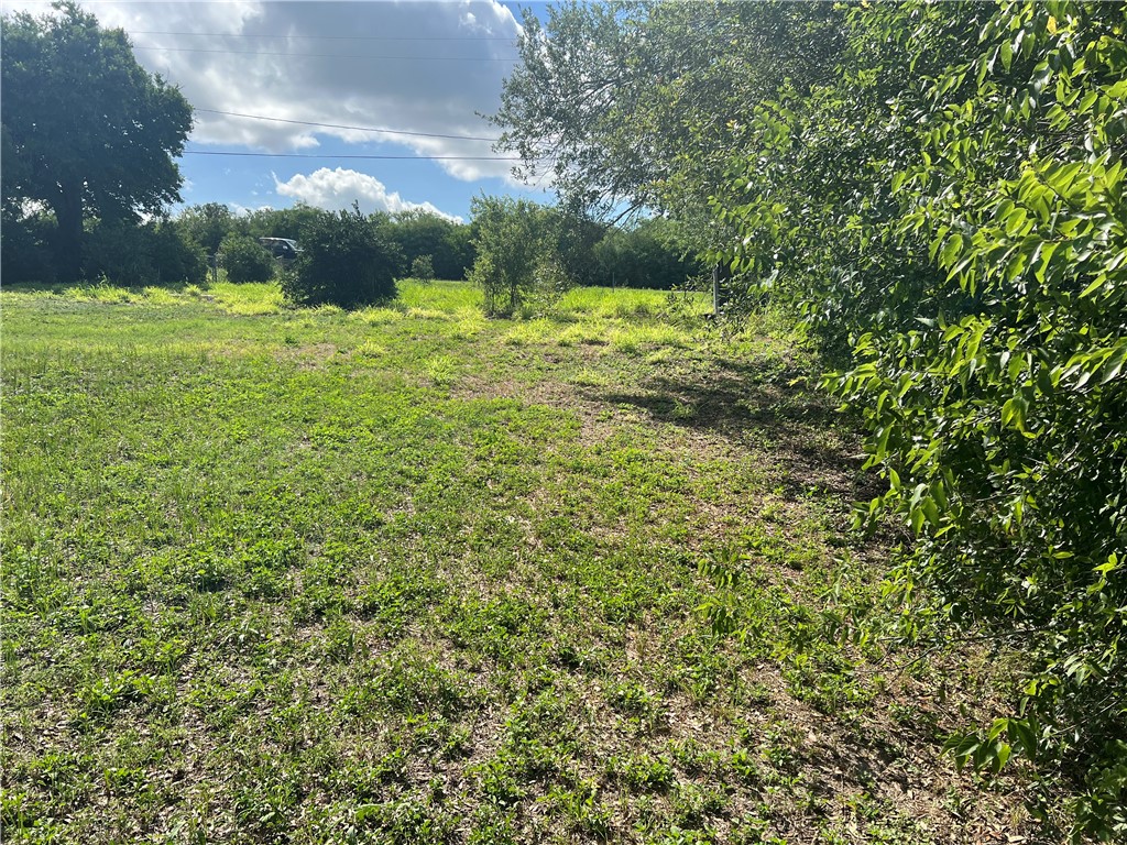 509 County Road 509 Mathis, TX 78368 - Photo 7 of 9 a view of a yard with an trees