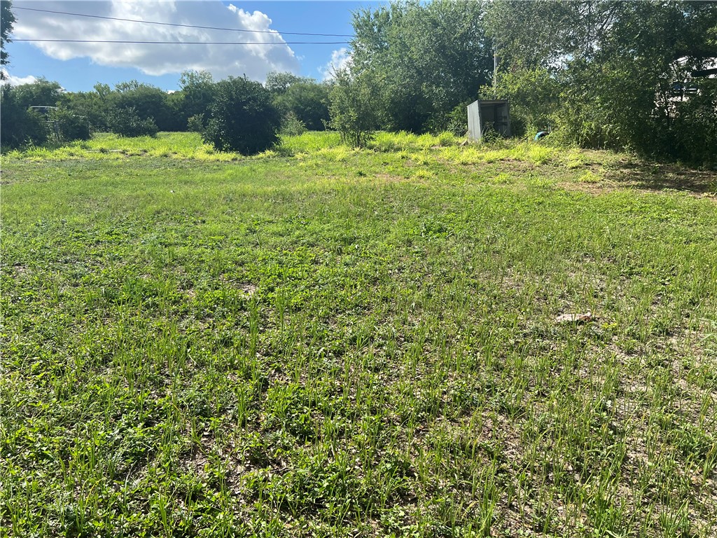 509 County Road 509 Mathis, TX 78368 - Photo 8 of 9 a view of a grassy field with an trees