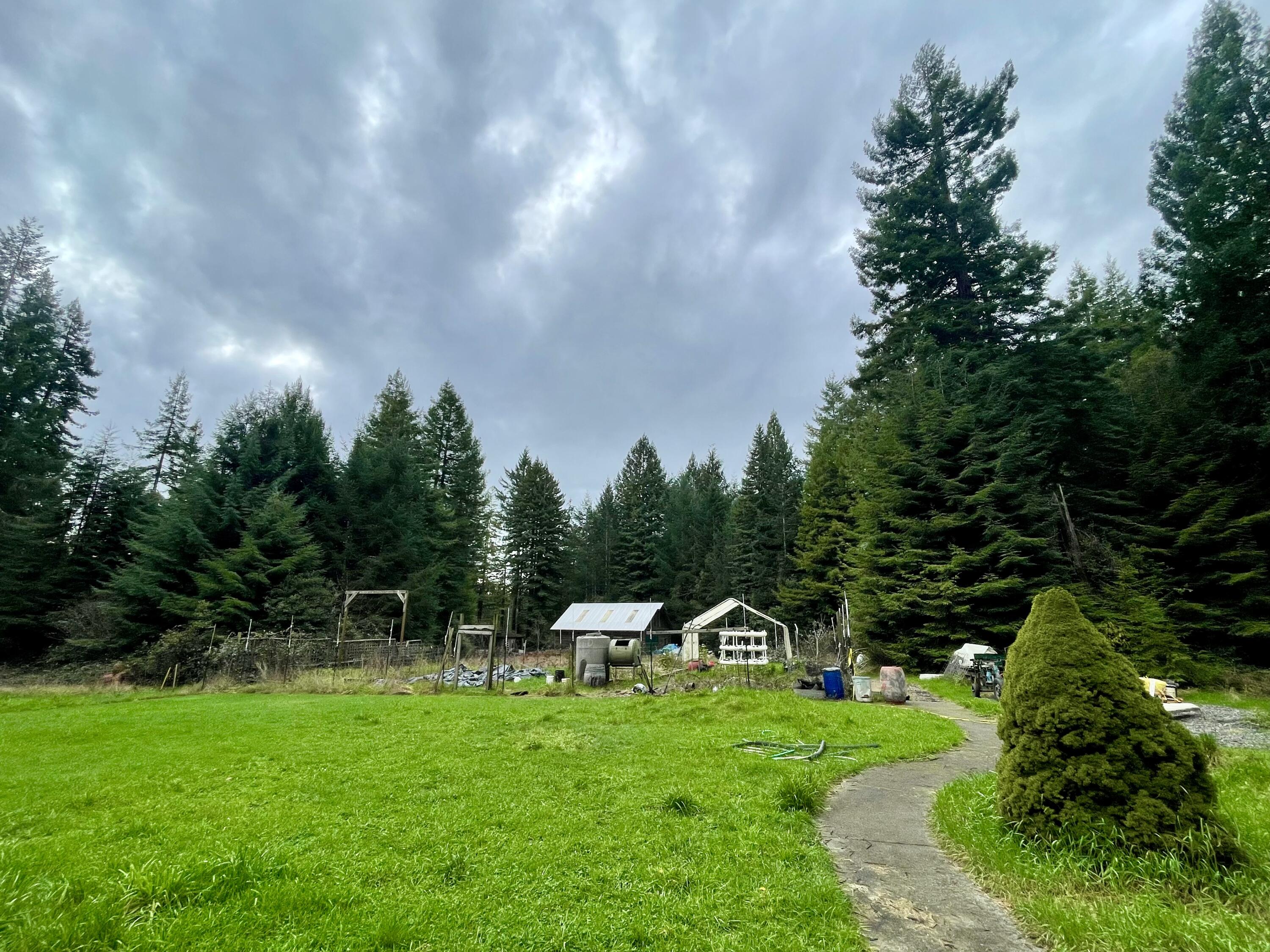 232 Old Round House Road Fieldbrook, CA 95519 - Photo 2 of 3 IMG_5690
