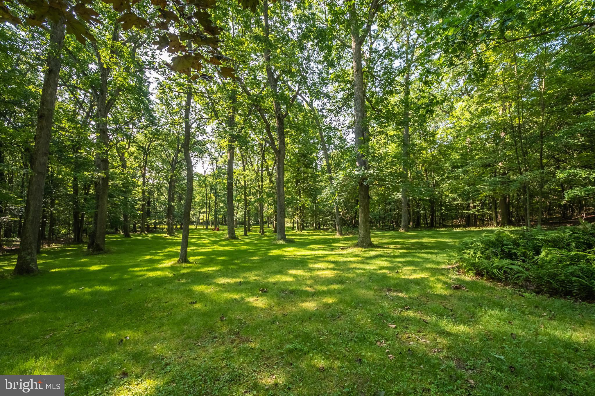1720 Pysell Crosscut Road Oakland, MD 21550 - Photo 81 of 114 Gallery Image 81