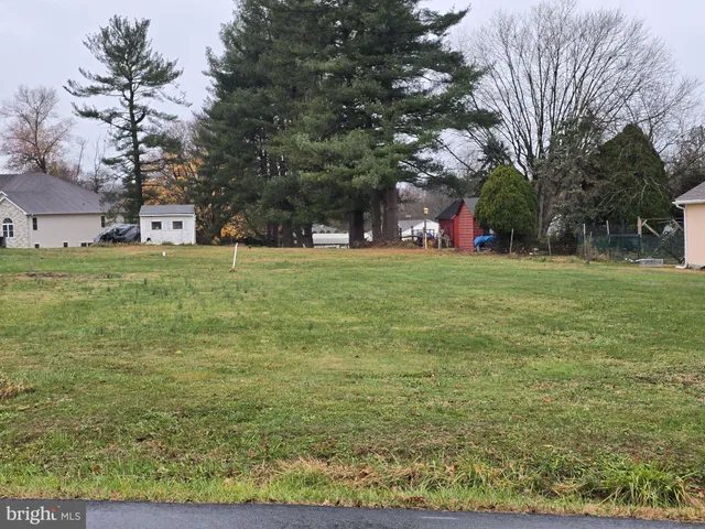 a tall tree in middle of green field
