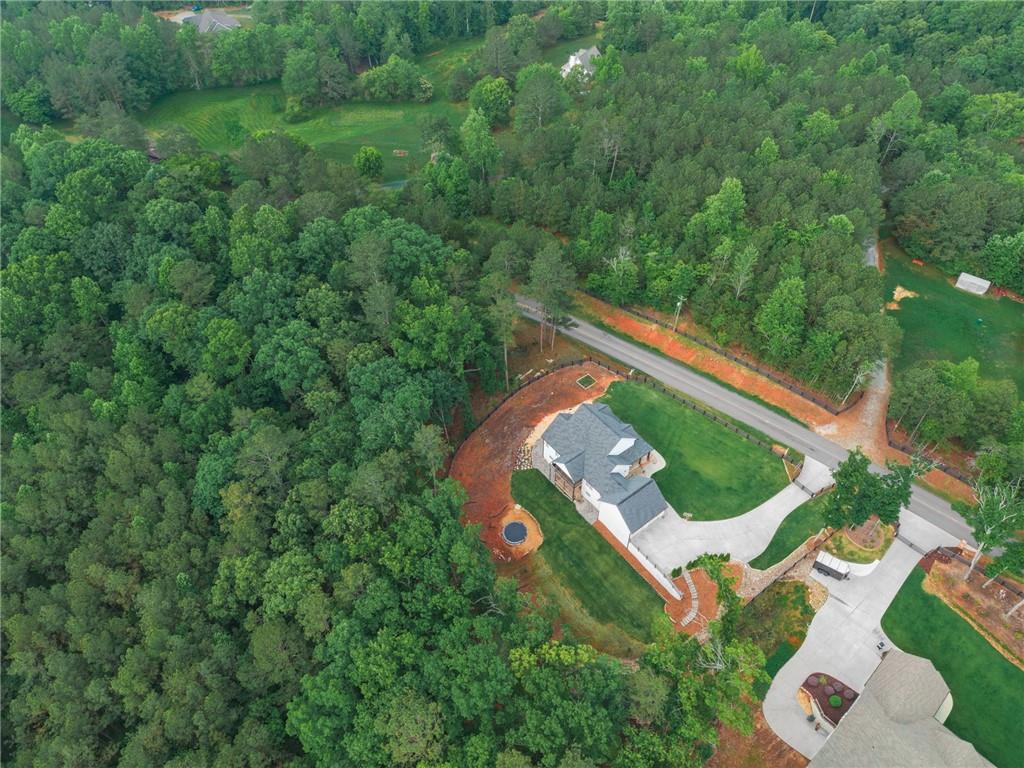 2250 Sperin Road Ball Ground, GA 30107 - Photo 53 of 56