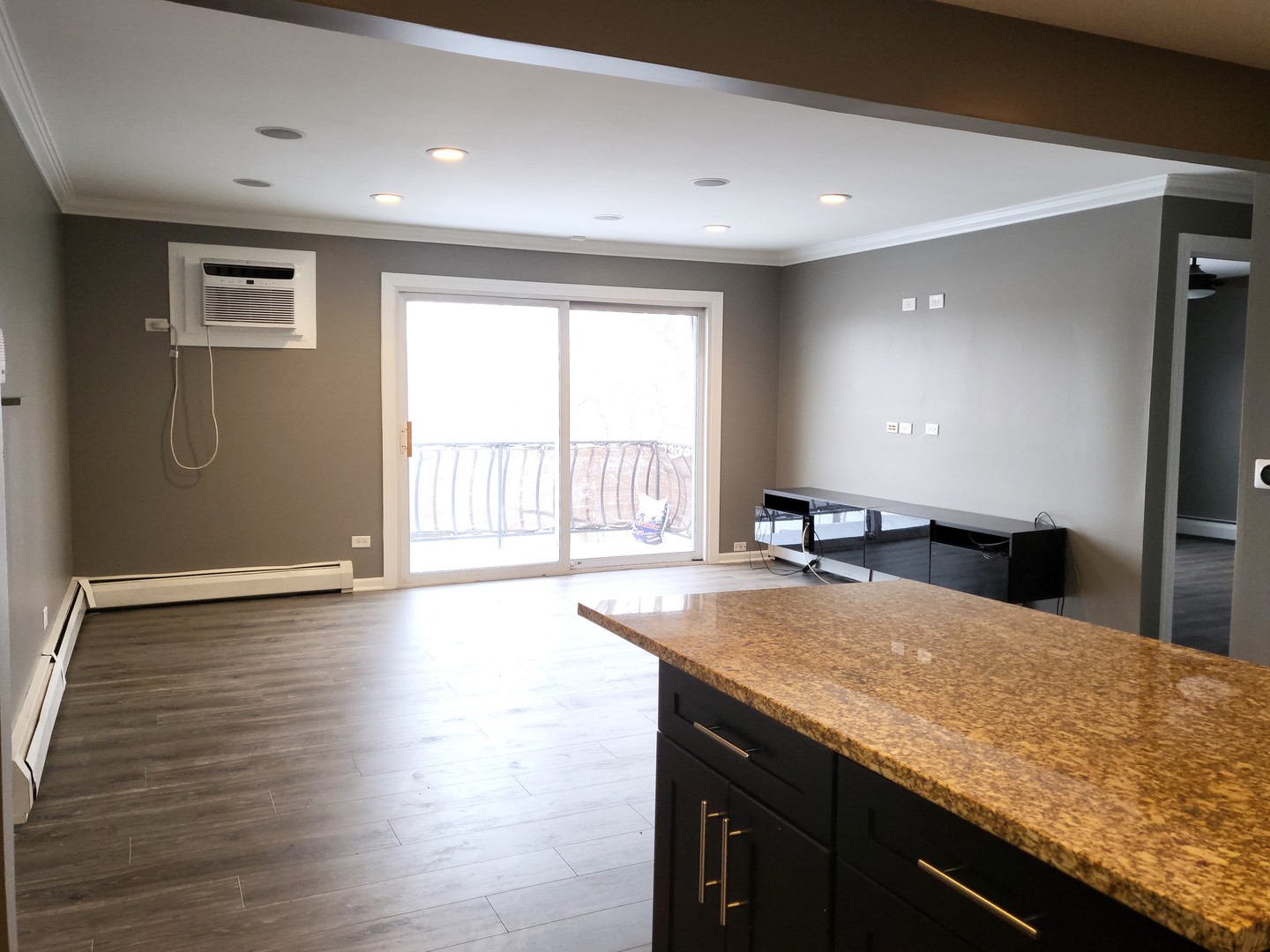 4809 West Engle Road, Unit 3A Alsip, IL 60803 - Photo 5 of 11 a large kitchen with granite countertop a sink and a wooden floor