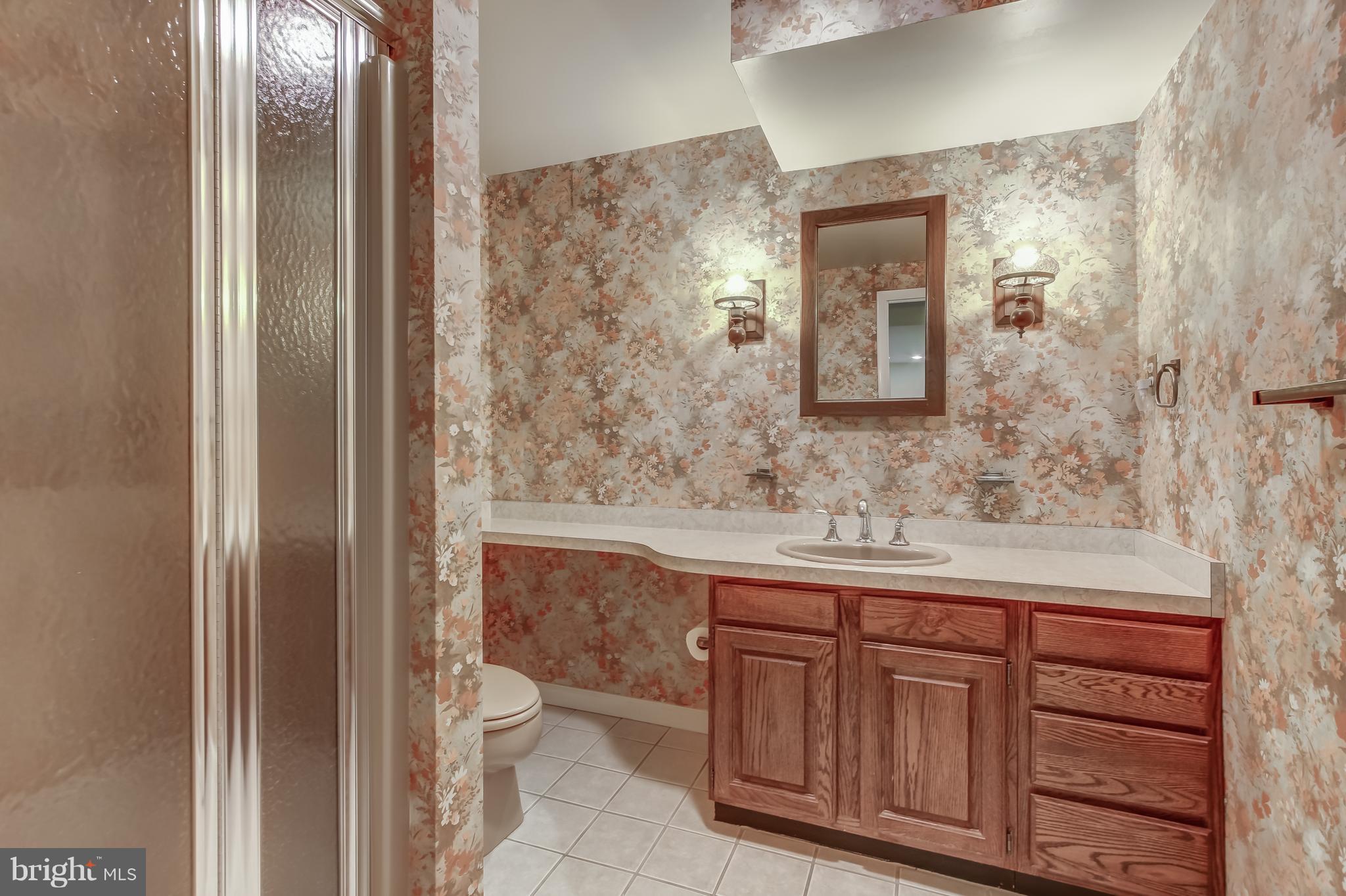 807 Lanark Way Silver Spring, MD 20901 - Photo 12 of 19 Lower level full bath