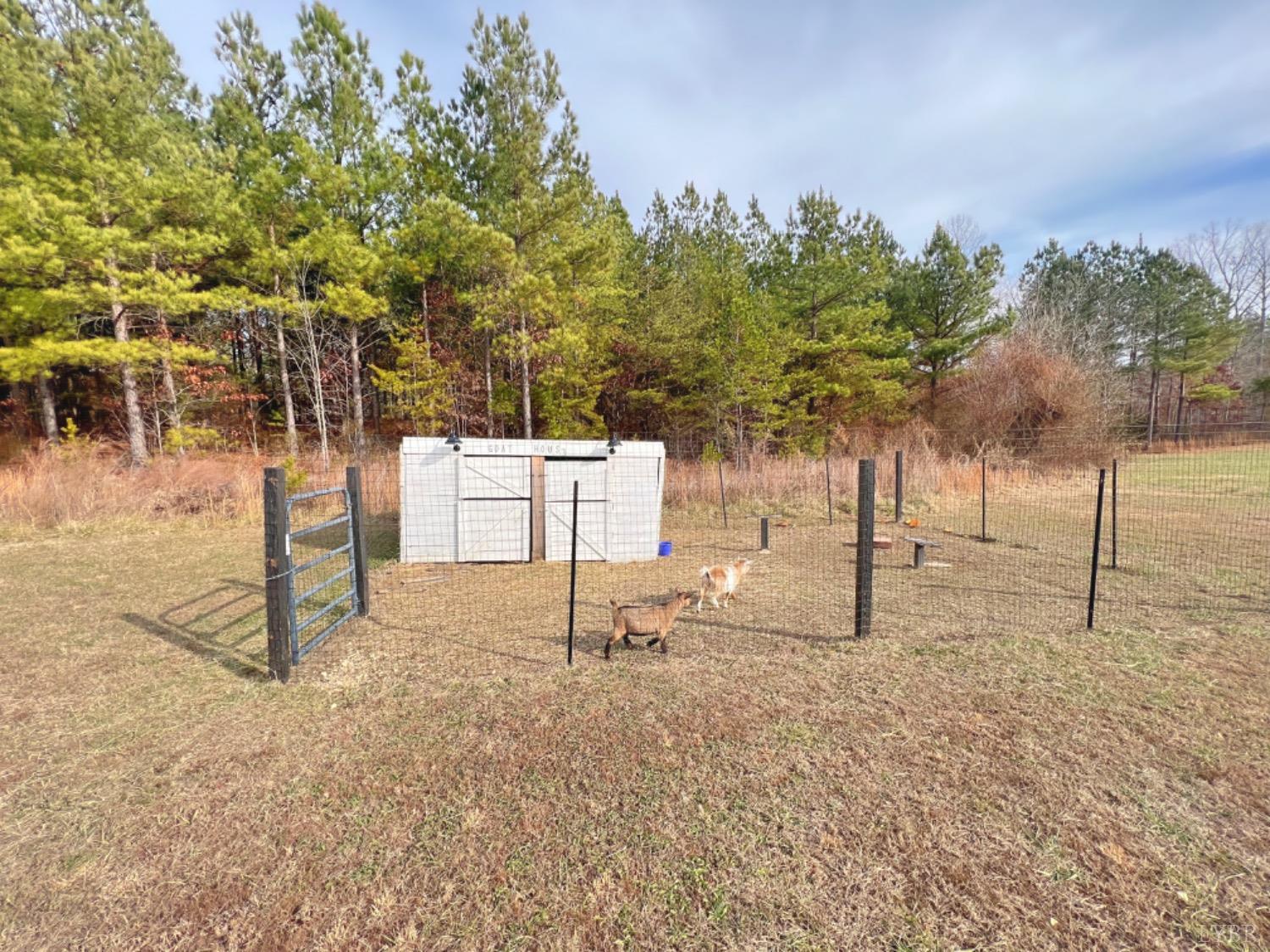 2484 Red House Road Rustburg, VA 24588 - Photo 9 of 29 a view of backyard