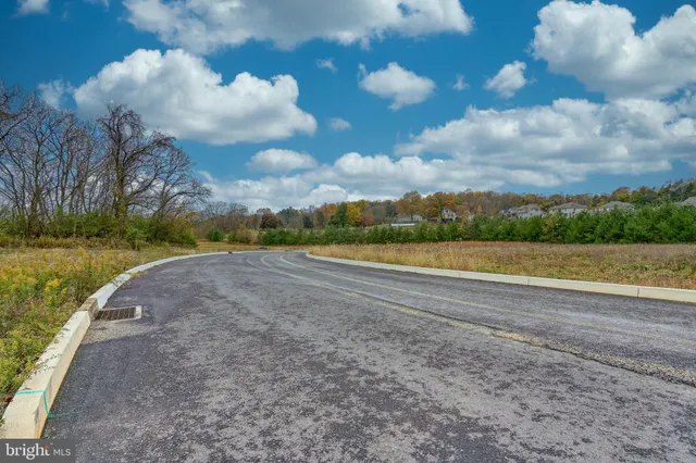a view of a big yard with large trees