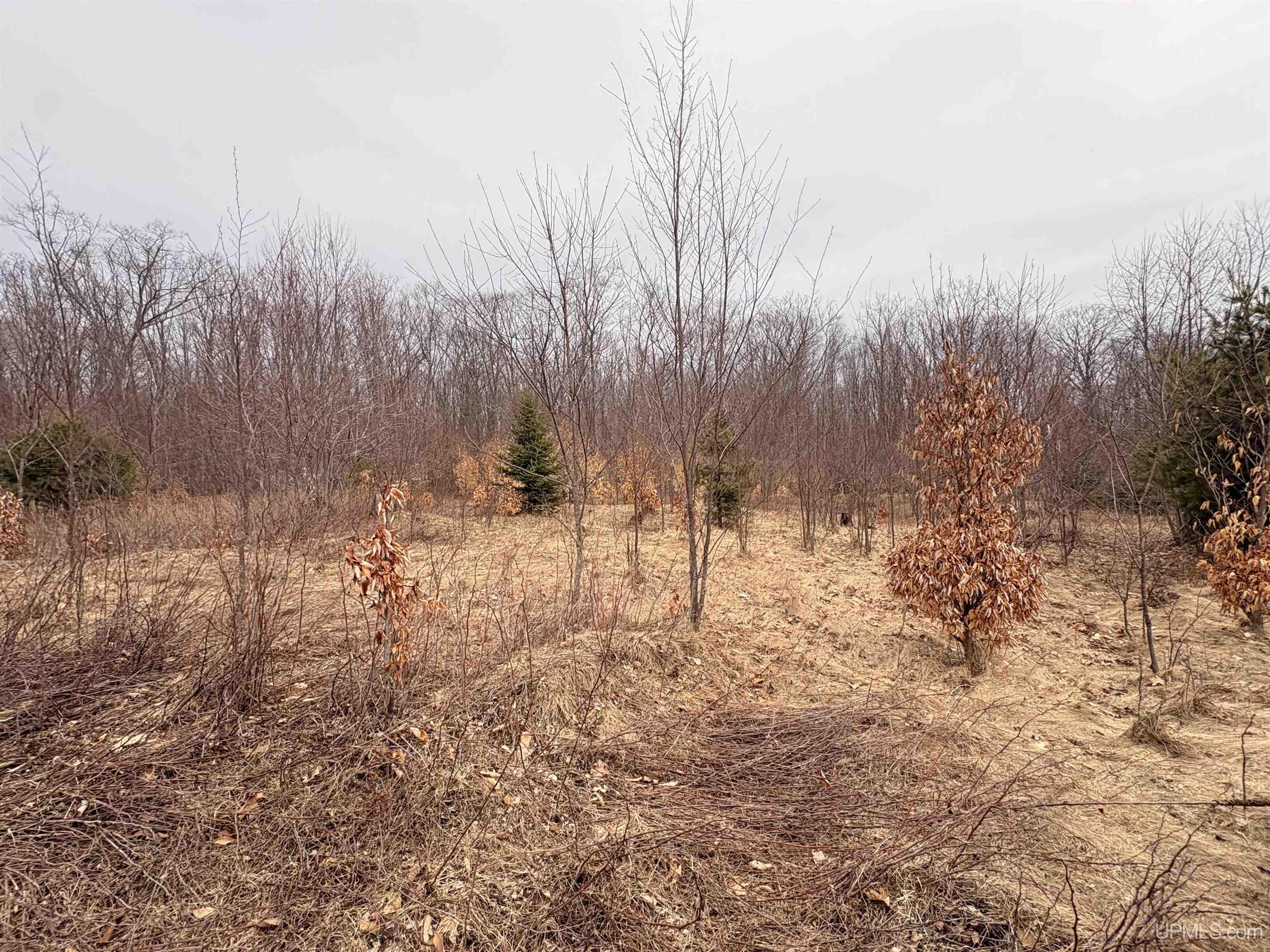Tbd Tbd County Road Rapid River, MI 49878 - Photo 4 of 11