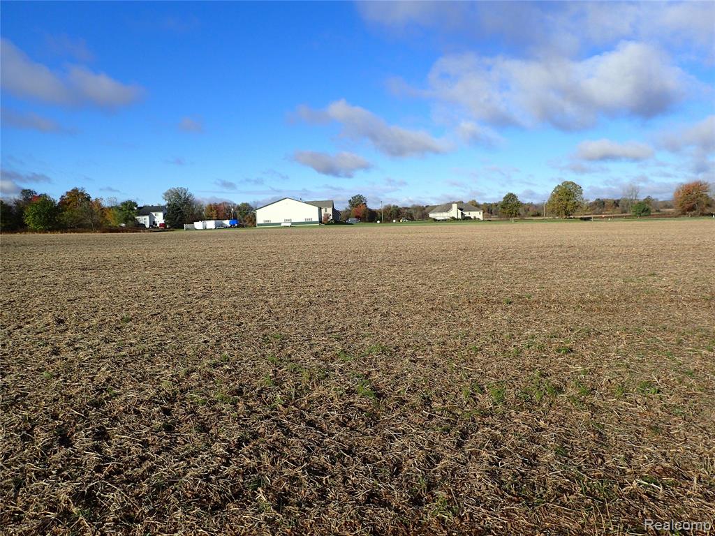0 Hayner Road Fowlerville, MI 48836 - Photo 3 of 4