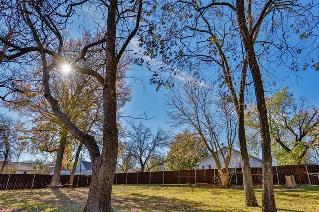 a view of a large trees with large tree