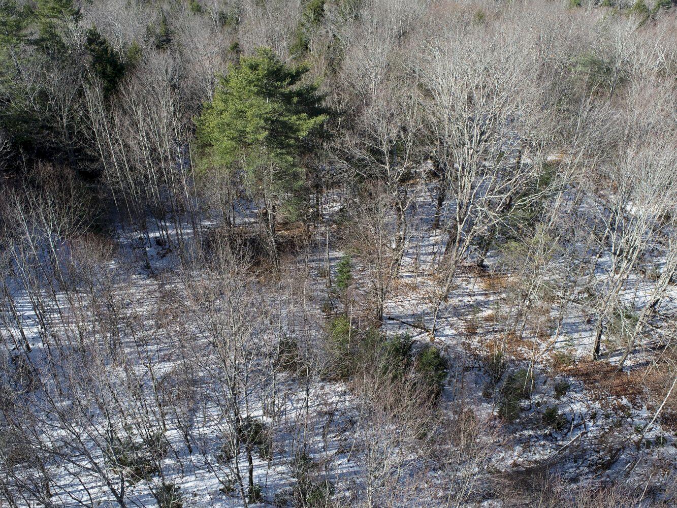 89 Town Farm Road Anson, ME 04958 - Photo 45 of 50 DJI_0014