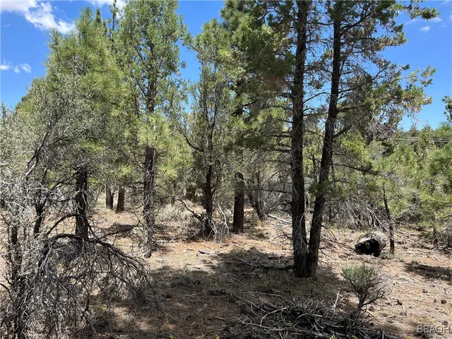 $12,000 | 0 Starland Avenue, Lucerne Valley, CA 92356