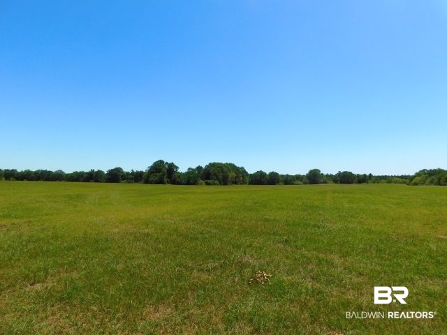 5884 Saroadine Road Brewton, AL 36426 - Photo 39 of 45