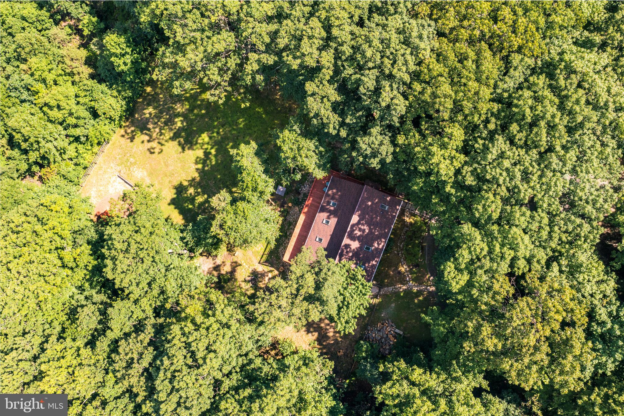 1619 Summit Drive Haymarket, VA 20169 - Photo 46 of 62 a view of a tree in a garden