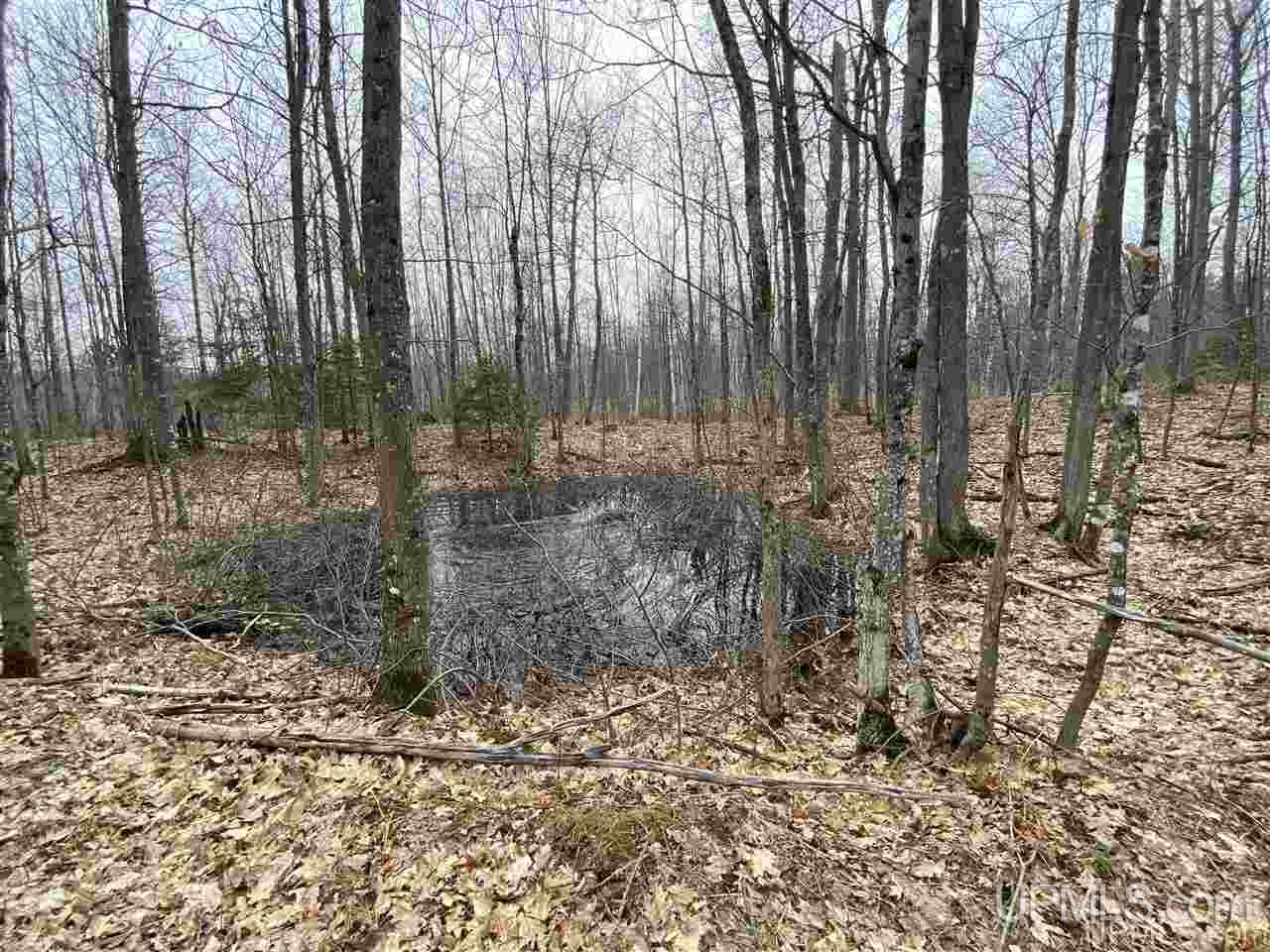 Tbd Plains Cutoff Road Baraga, MI 49908 - Photo 19 of 49