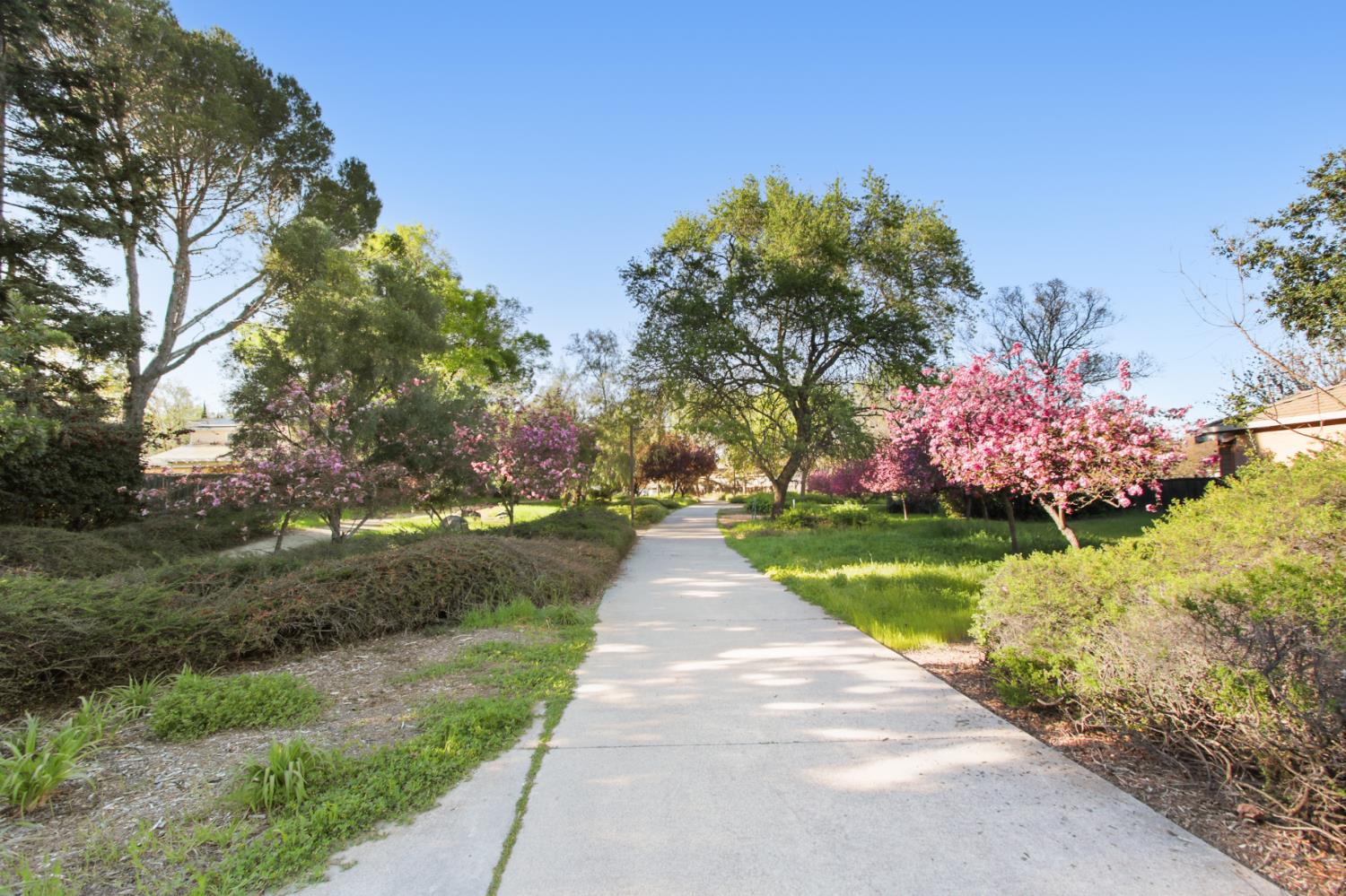 2033 Manet Place Davis, CA 95618 - Photo 46 of 56 Greenbelt