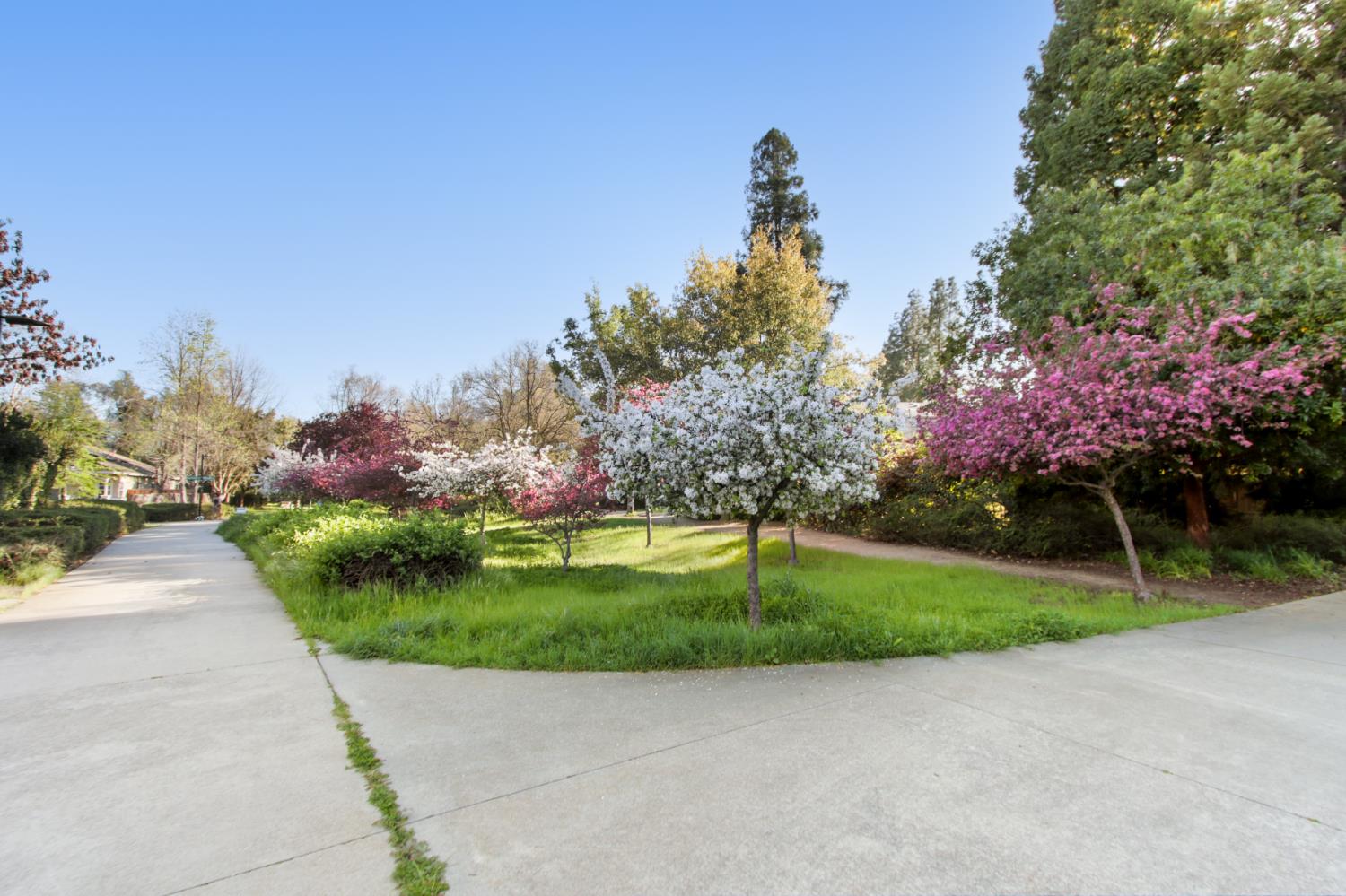 2033 Manet Place Davis, CA 95618 - Photo 47 of 56