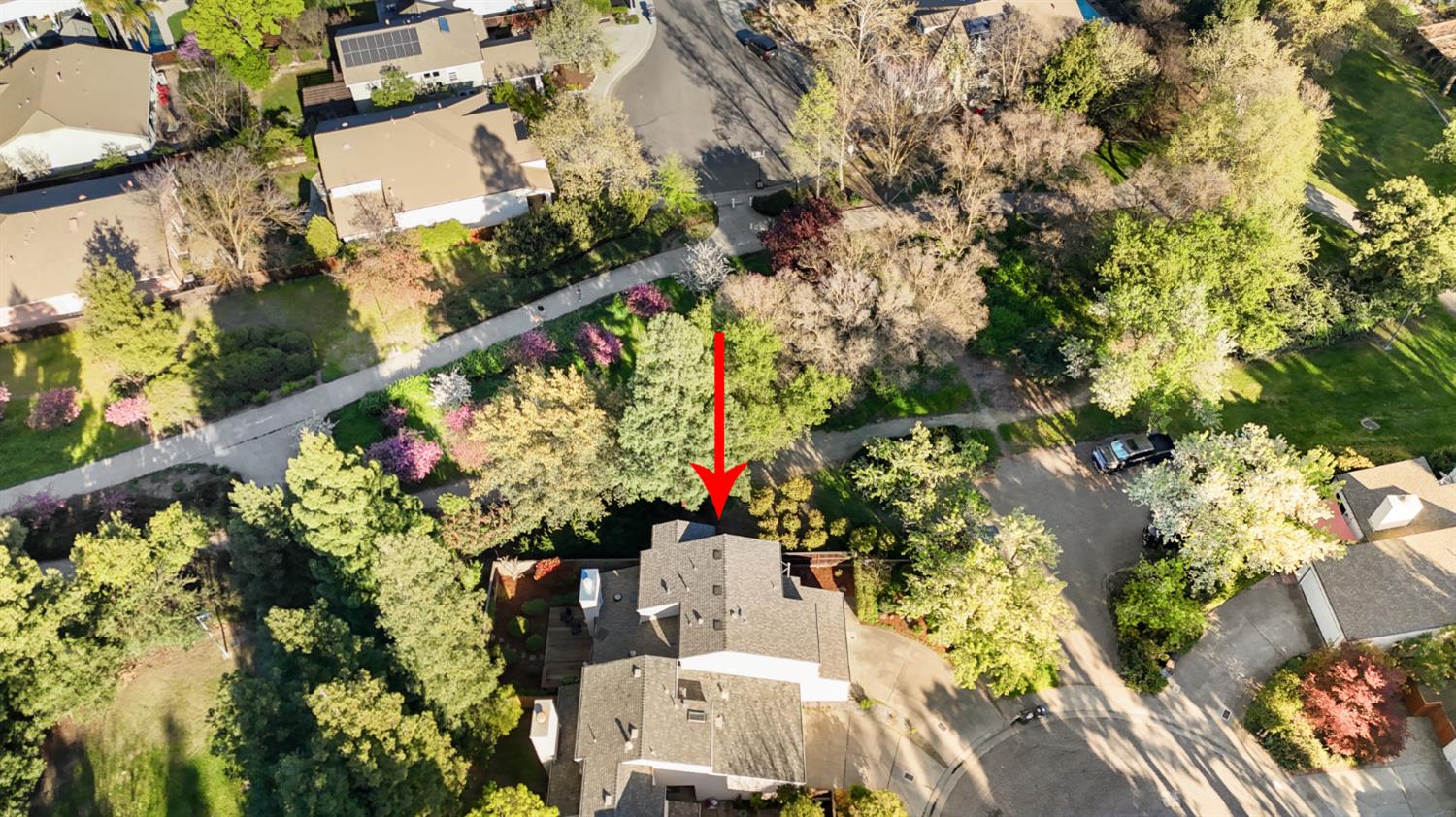 2033 Manet Place Davis, CA 95618 - Photo 52 of 56 aerial view of residential area