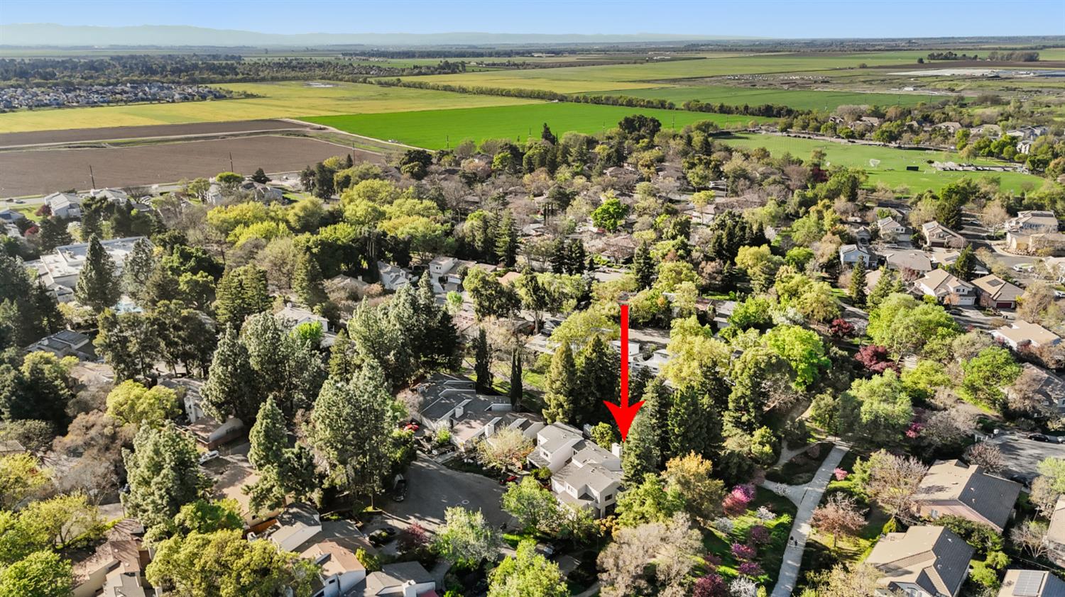 2033 Manet Place Davis, CA 95618 - Photo 54 of 56 aerial view of residential area