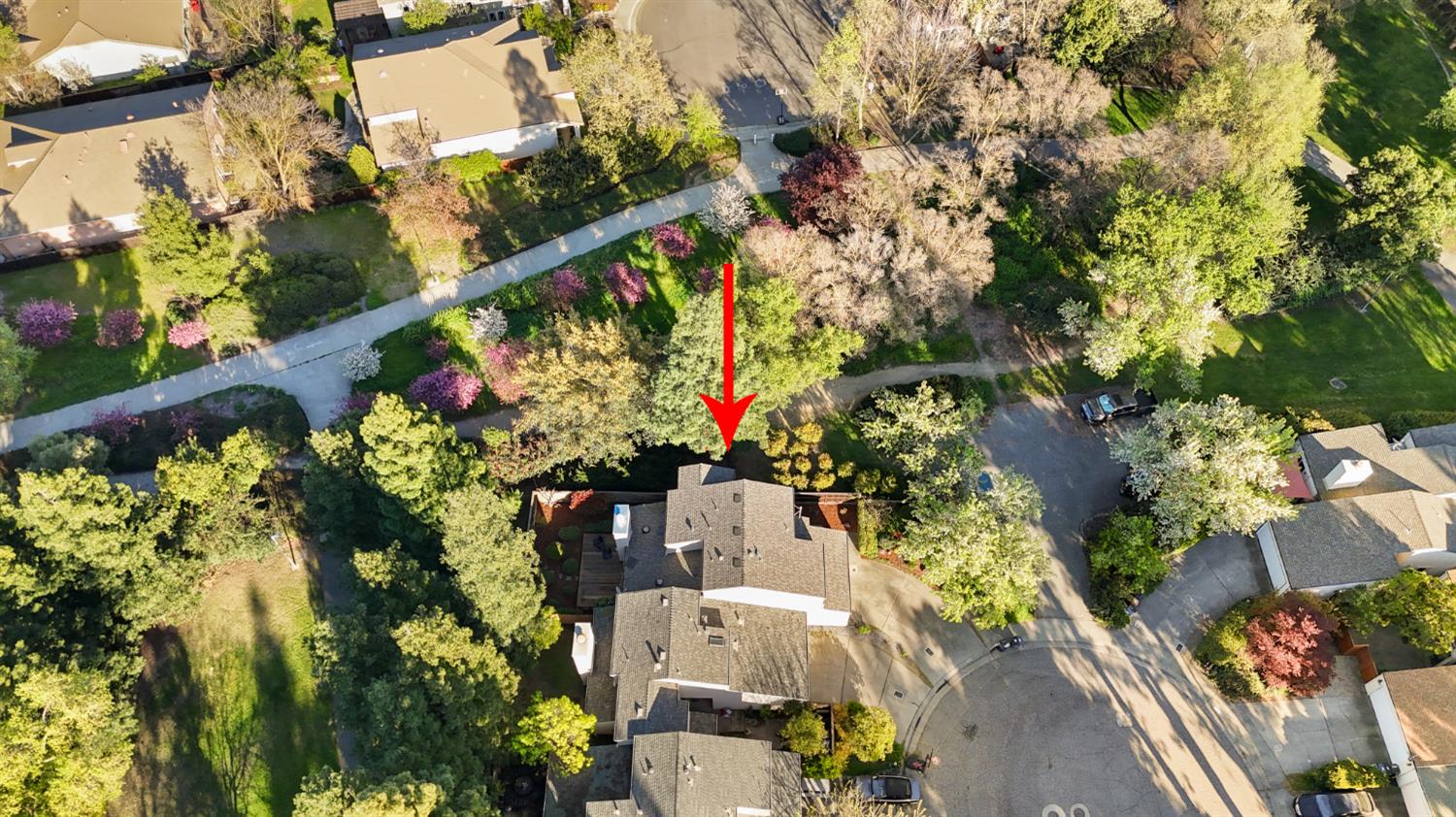 2033 Manet Place Davis, CA 95618 - Photo 56 of 56 aerial perspective - 180 degrees of greenbelt surround this home.