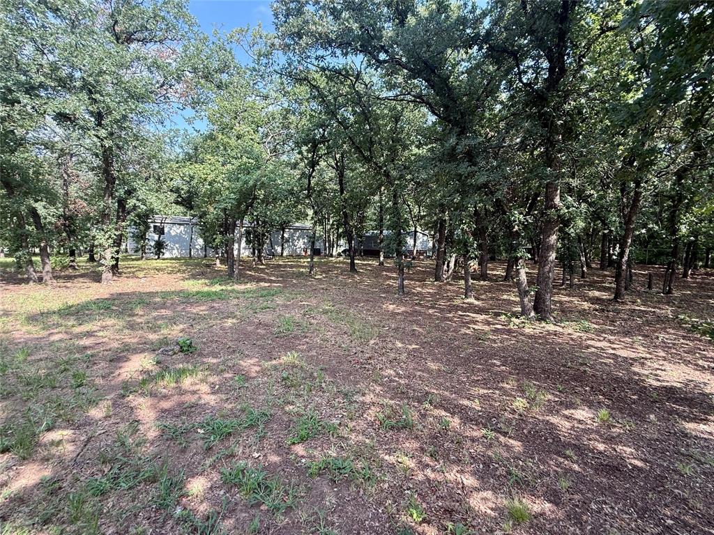 145 Adalida Lane Springtown, TX 76082 - Photo 28 of 29