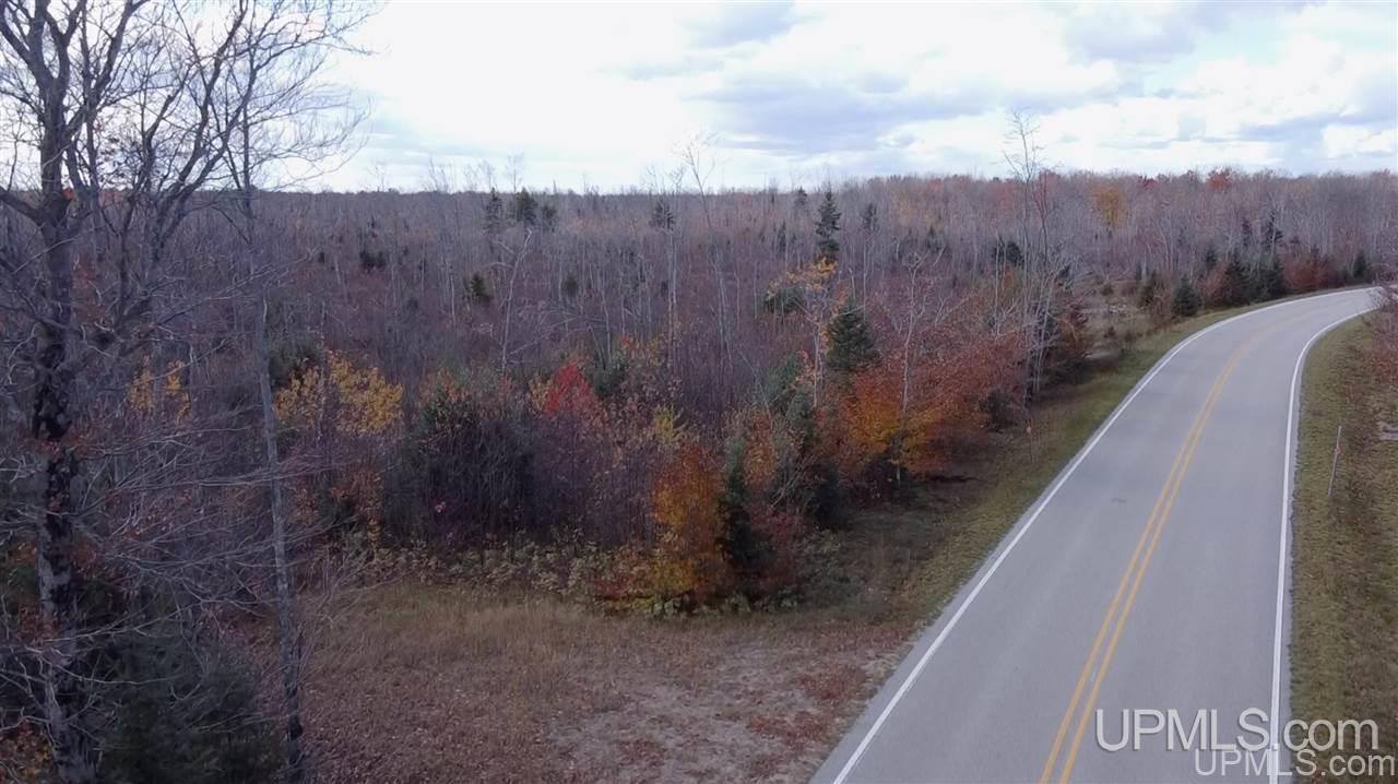 Tbd West Tbd W Co Road Seney, MI 49883 - Photo 10 of 12