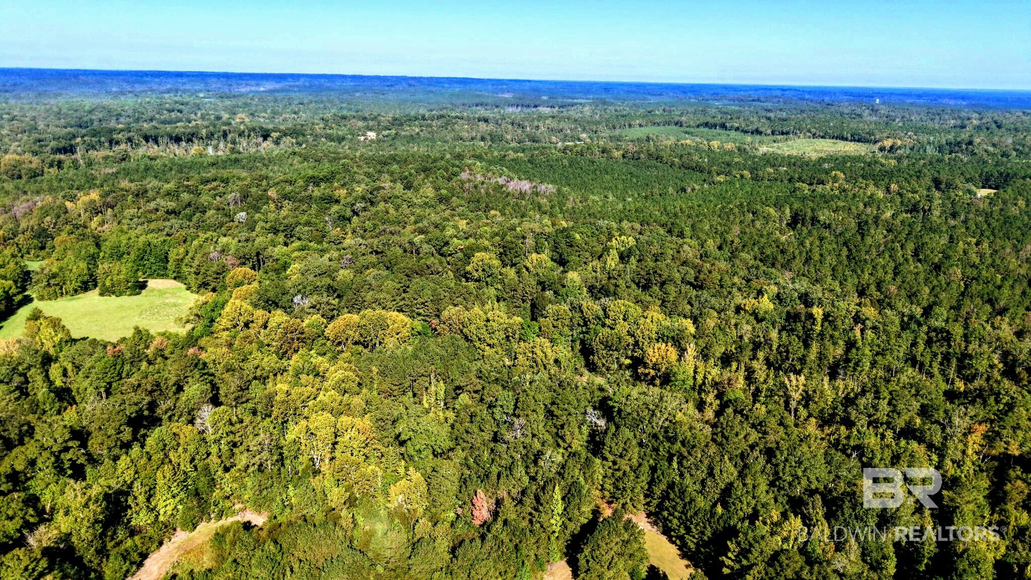 0 Highway 17 Millry, AL 36558 - Photo 54 of 73 Gallery Image 54