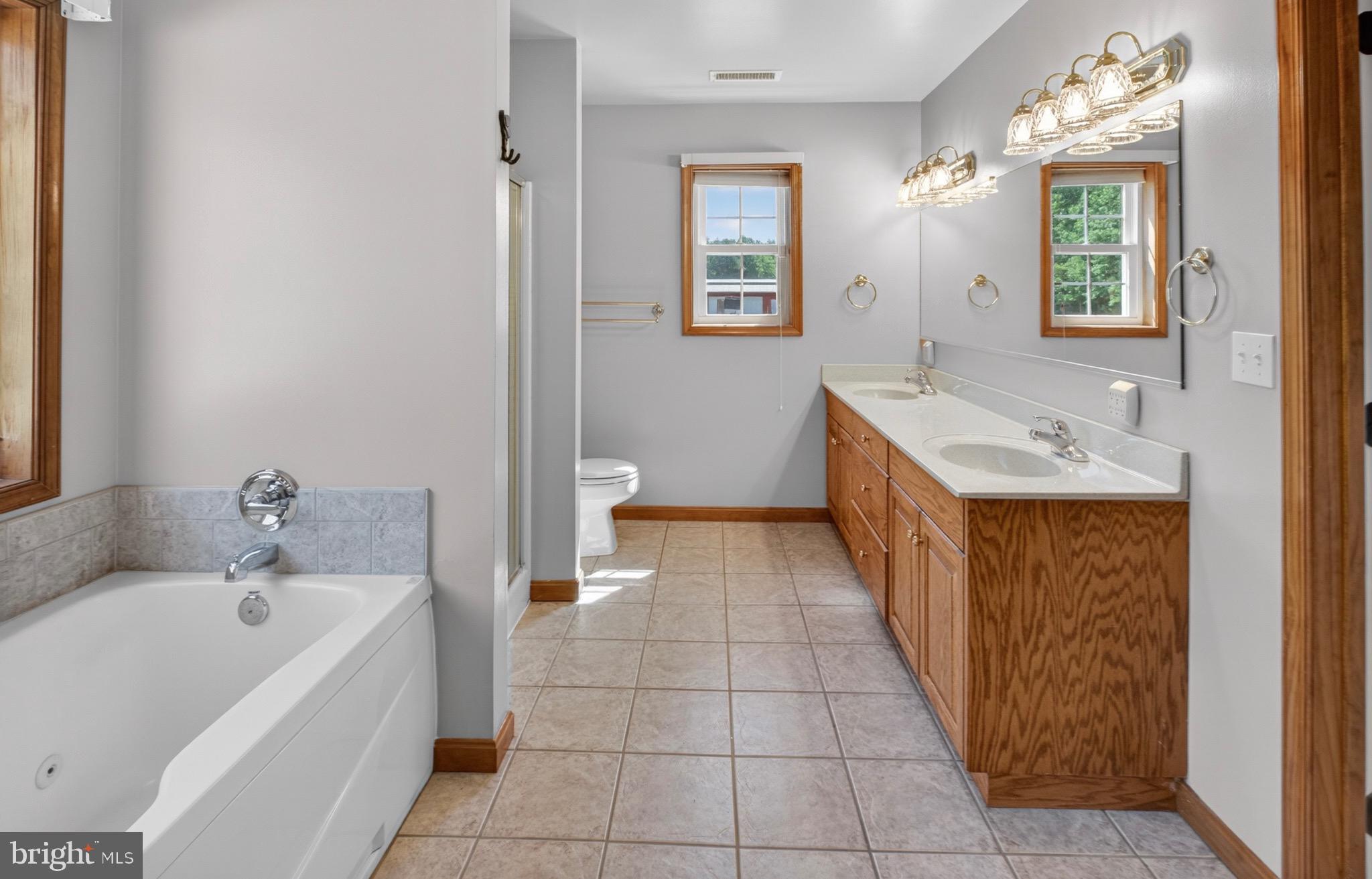 18315 Atlanta Road Bridgeville, DE 19933 - Photo 12 of 28 a bathroom with a sink a mirror and a bathtub