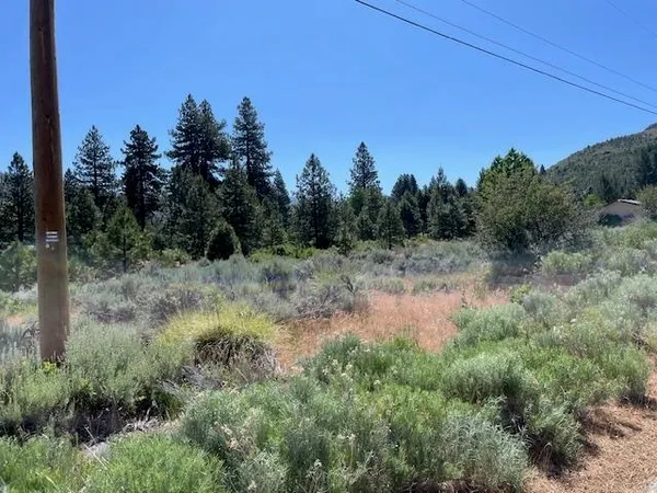 $48,000 | 556 Longhorn Drive, Loyalton, CA 96118