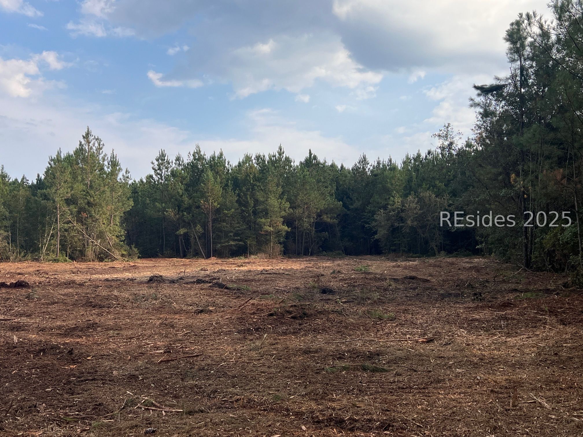 505 Sisters Ferry Road Ridgeland, SC 29936 - Photo 14 of 16