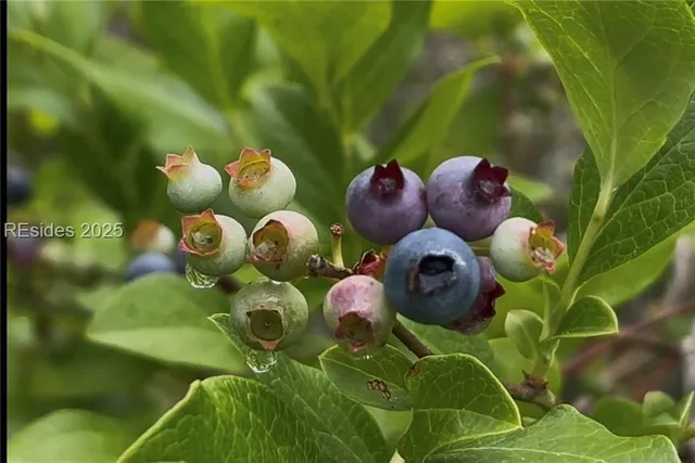 $199,000 | 505 Sisters Ferry Road, Ridgeland, SC 29936