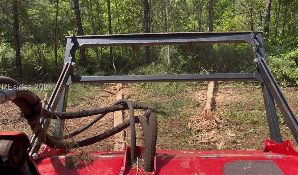 505 Sisters Ferry Road Ridgeland, SC 29936 - Photo 3 of 16