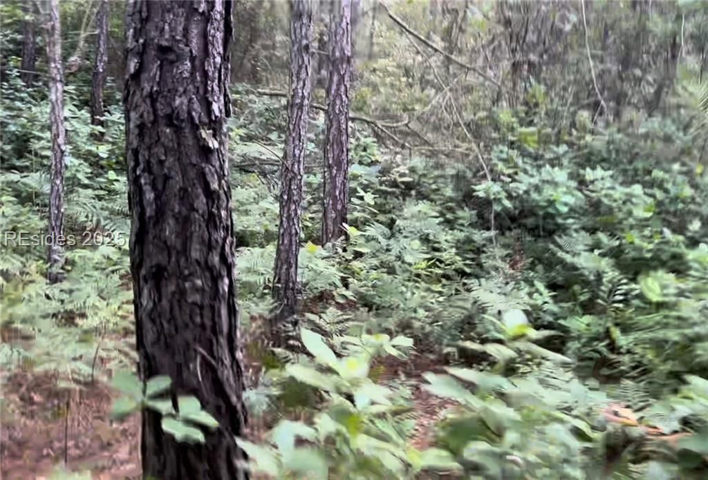 505 Sisters Ferry Road Ridgeland, SC 29936 - Photo 8 of 16