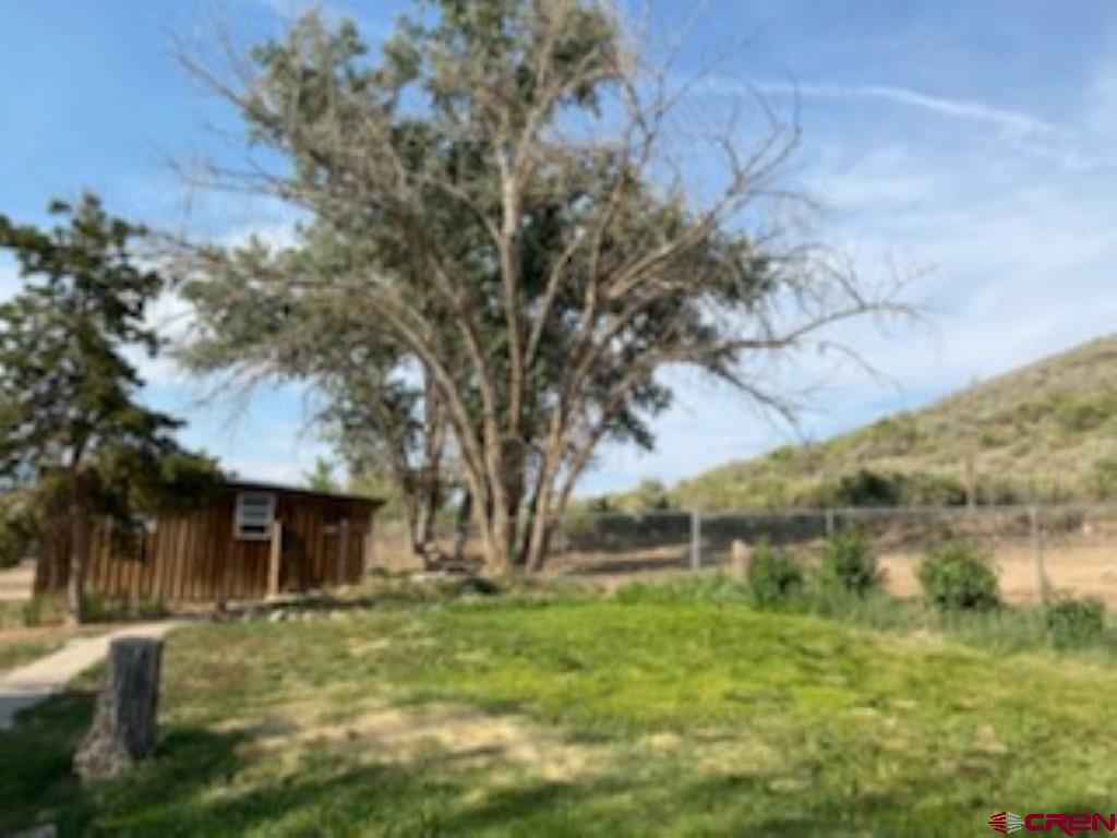 22239 Oatman Road Eckert, CO 81418 - Photo 19 of 31 Gallery Image 19