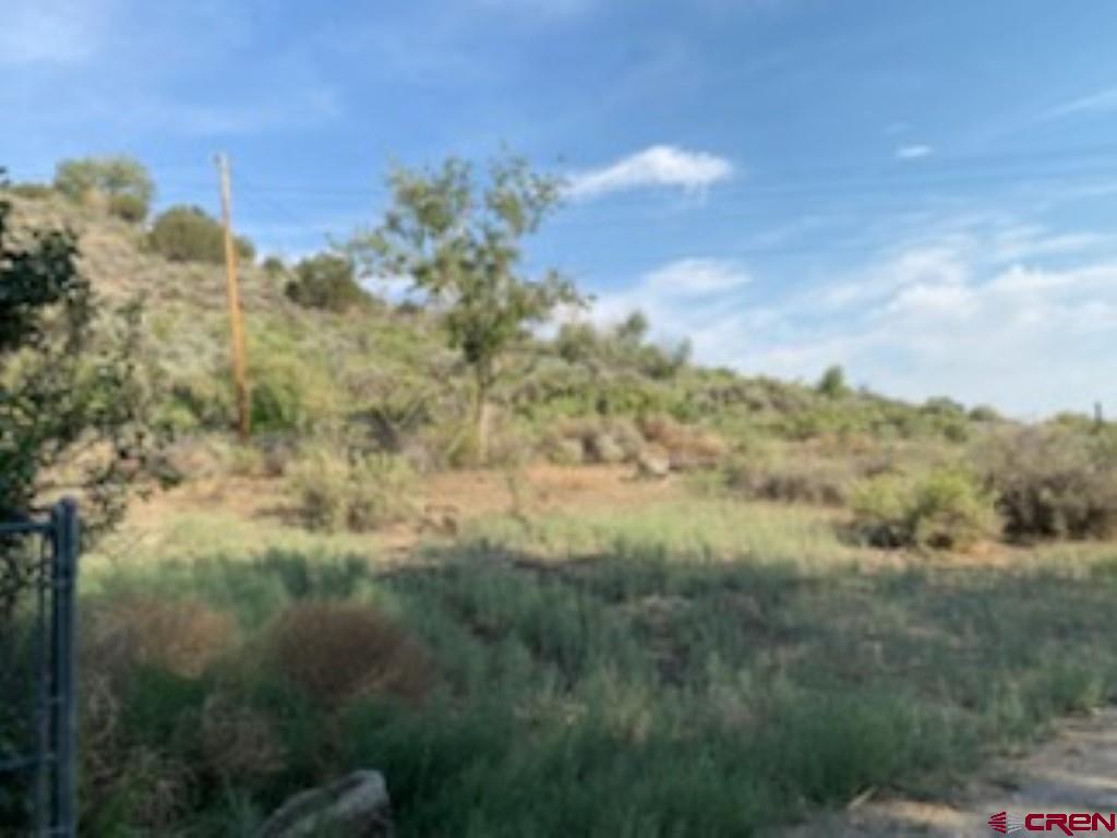 22239 Oatman Road Eckert, CO 81418 - Photo 31 of 31 Gallery Image 31