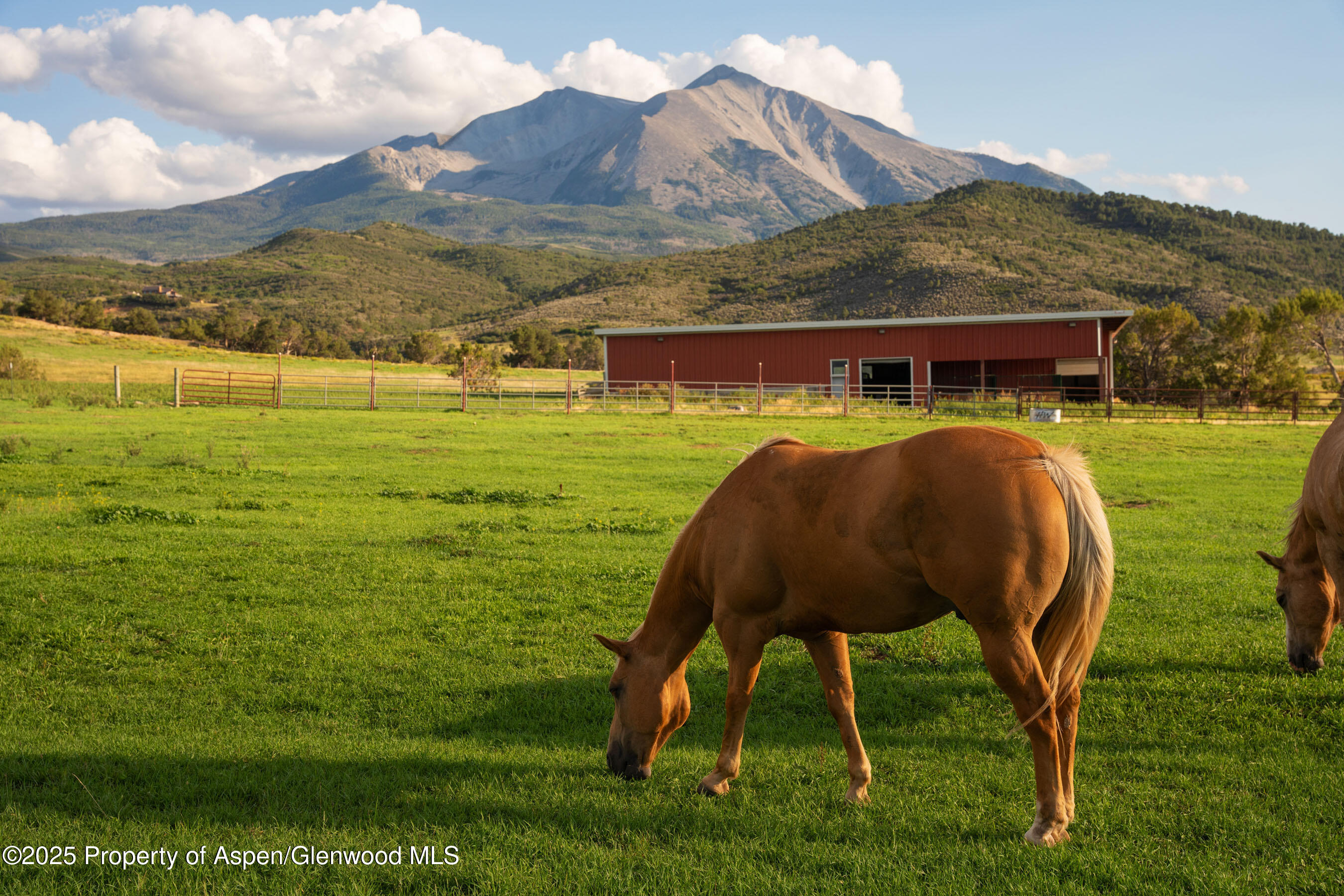 1644 Prince Creek Road Carbondale, CO 81623 - Photo 23 of 80 TurnaboutRanch_DASH133