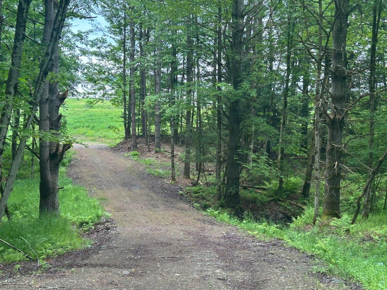 0 Rocky Road Johnson, VT 05656 - Photo 7 of 22