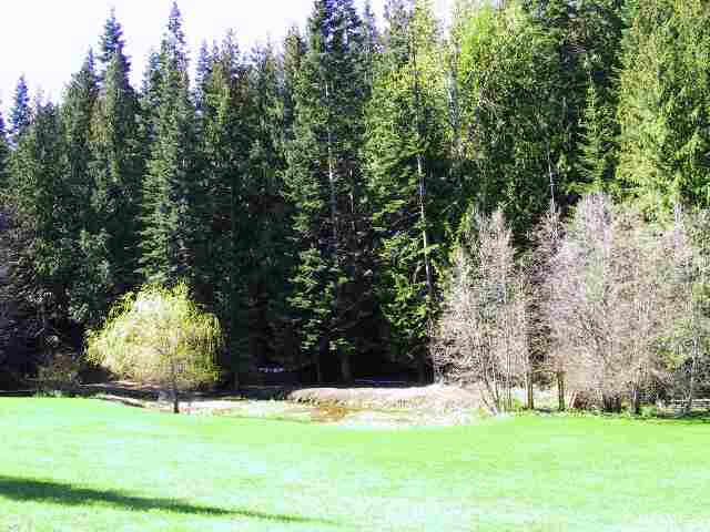 3016 Snook Road Chewelah, WA 99109 - Photo 7 of 9 Gallery Image 7