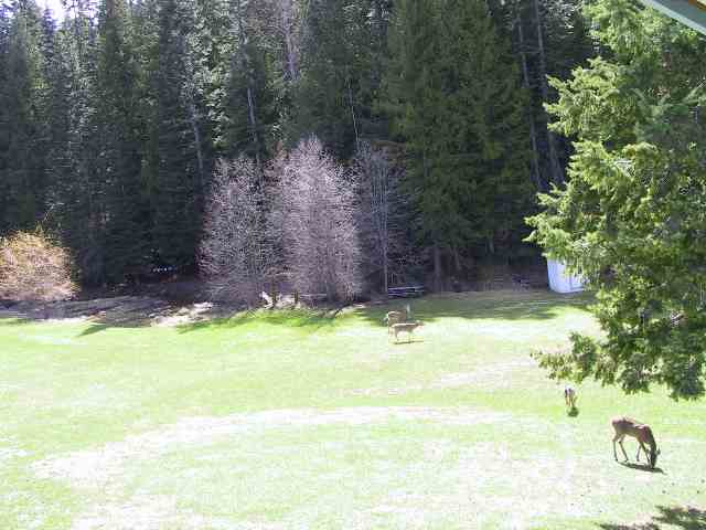 3016 Snook Road Chewelah, WA 99109 - Photo 9 of 9 Gallery Image 9