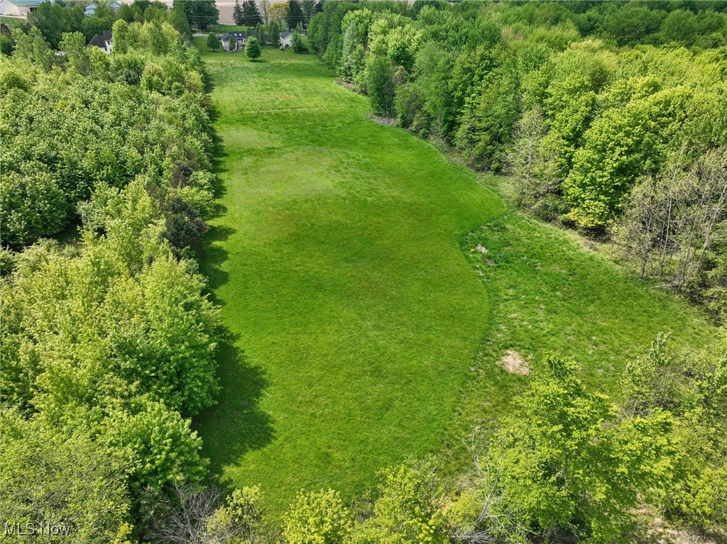 45230 Cemetery Road Wellington, OH 44090 - Photo 42 of 50 Drone / aerial view