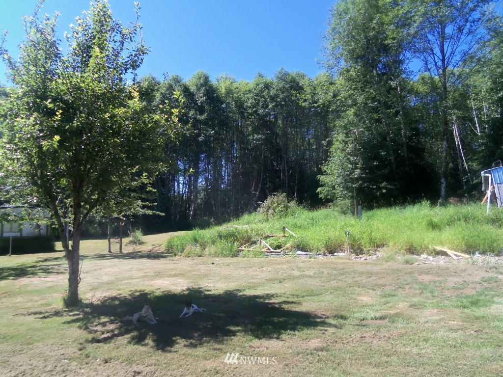 111 Bellicum Road Morton, WA 98356 - Photo 3 of 8 Gallery Image 3