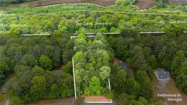 a view of a garden