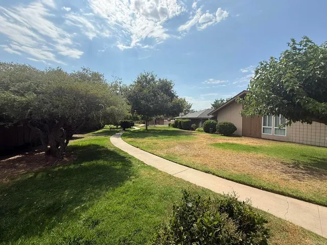 a view of a park with large trees