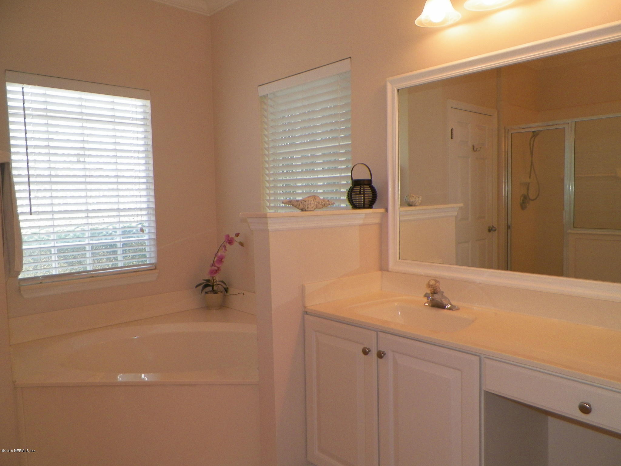 2133 Pond Spring Way Fleming Island, FL 32003 - Photo 11 of 22 Owners Suite vanity and tub