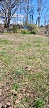 a view of a yard with an trees