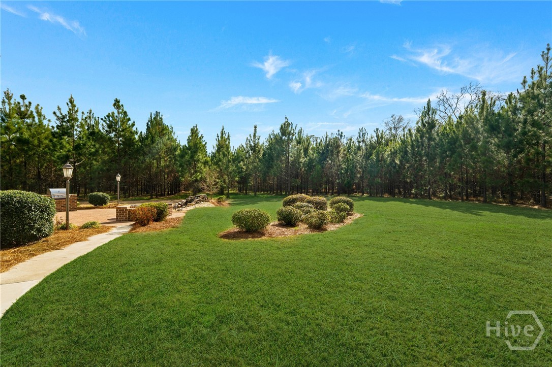 883 Old Happy Road Brooklet, GA 30415 - Photo 52 of 63 Gallery Image 52