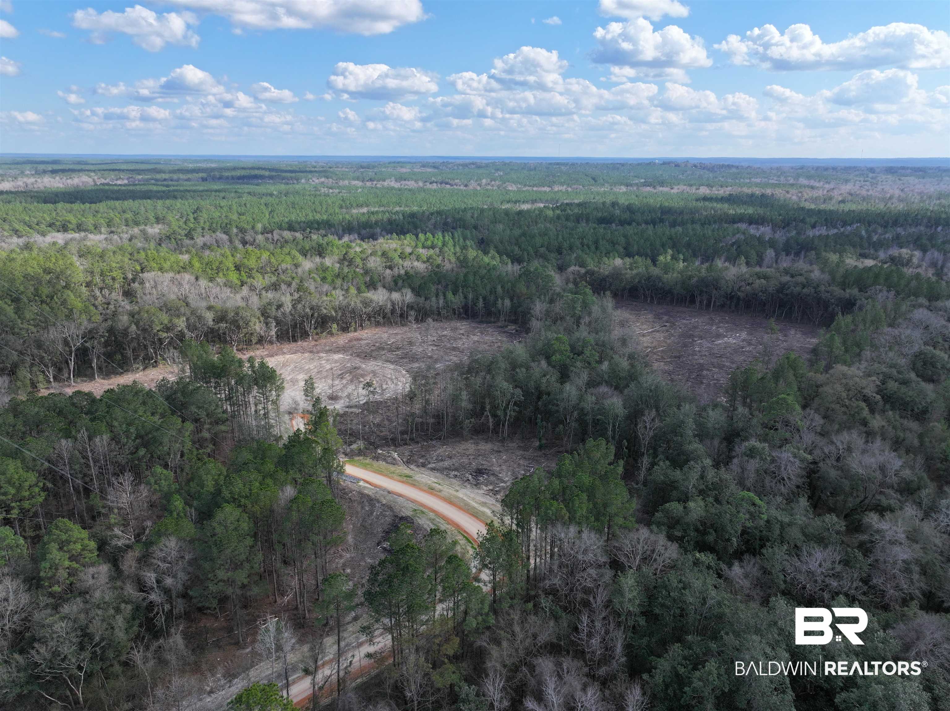 0 Kirkland Road Brewton, AL 36426 - Photo 2 of 10