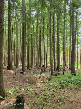 $189,000 | 17 Christmas Lane, Naples, ID 83847